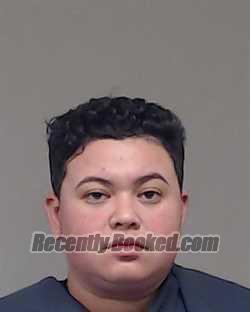 Recent Booking / Mugshot for Yasmine Dorotea Lopez in Collin County, Texas