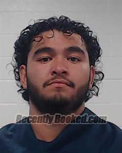 Recent Booking / Mugshot for Angel Fernandez in Collin County, Texas