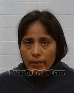 Recent Booking / Mugshot for Laura Alvarez Salazar in Collin County, Texas