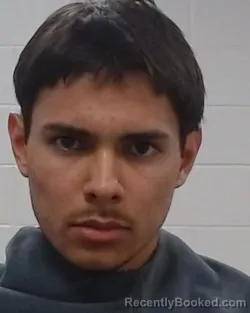 Recent Mugshot Image for William Meneses in Collin County, Texas