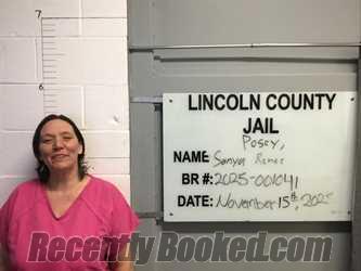Recent Mugshot Image for SANYA RANAE POSEY in Lincoln County, Oklahoma