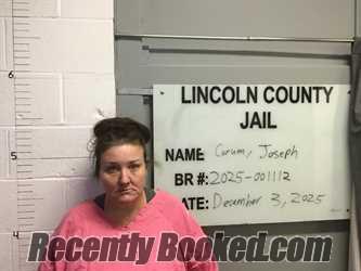 Recent Mugshot Image for NANCY MARIE AKINS in Lincoln County, Oklahoma