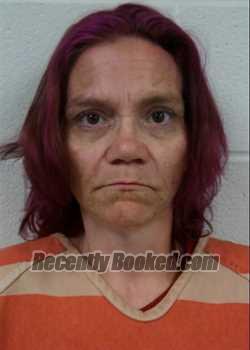 Recent Booking / Mugshot for BRANDY NICOLE ANDREWS in Love County, Oklahoma