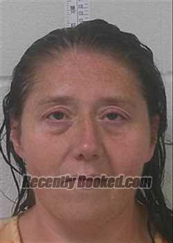 Recent Mugshot Image for NICHOLE ANN LEE in Love County, Oklahoma
