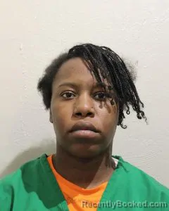 Recent Mugshot Image for CONTESSA MONIQUE MCFADDEN in McClain County, Oklahoma