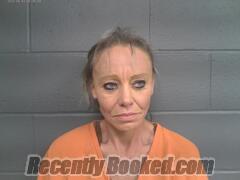 Recent Mugshot Image for JENNIFER NICOLE PUCKETT in Mayes County, Oklahoma