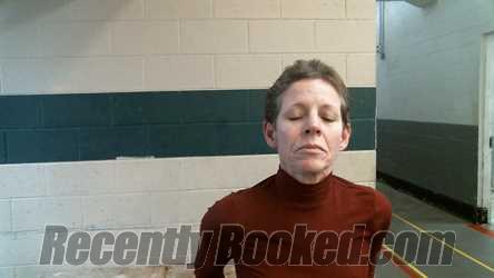 Recent Mugshot Image for ANGELA DELORES BLEVINS in Ottawa County, Oklahoma