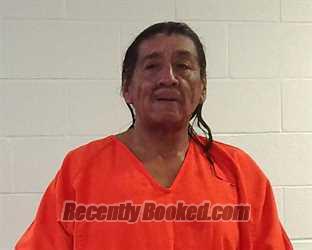 Recent Mugshot Image for DALE LEE LENA in Seminole County, Oklahoma