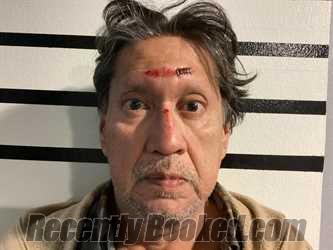 Recent Mugshot Image for RAY FIELDS in Sequoyah County, Oklahoma