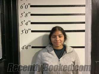 Recent Mugshot Image for ZANDREA EURESTI in Sequoyah County, Oklahoma