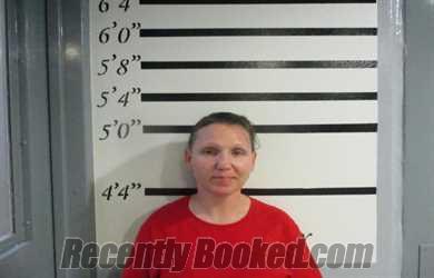 Recent Booking / Mugshot for RACHEL IRENE COOK in Sequoyah County, Oklahoma