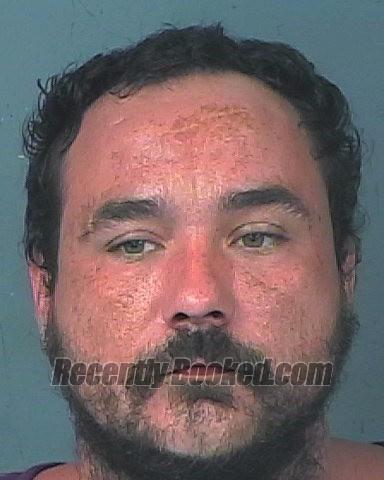 Recent Mugshot Image for WILLIAM FRANKLIN PATTERSON in Hernando County, Florida