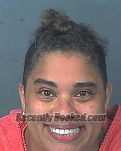 Recent Mugshot Image for MARIA ANTONIA FELICIANO in Hernando County, Florida