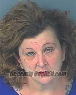 Recent Mugshot Image for DAWN-MARIE HILL in Hernando County, Florida