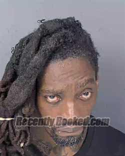 Recent Mugshot Image for ROBERT JAMES WRIGHT in Hernando County, Florida