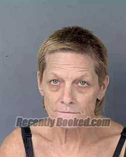 Recent Mugshot Image for CASSIE JO BAIER in Hernando County, Florida