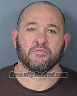 Recent Mugshot Image for BRIAN MICHAEL MARTIN in Hernando County, Florida
