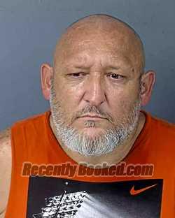 Recent Mugshot Image for SEAN JAMES EMERSON in Hernando County, Florida