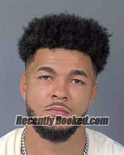 Recent Mugshot Image for ANDREW THOMAS MORIN in Hernando County, Florida