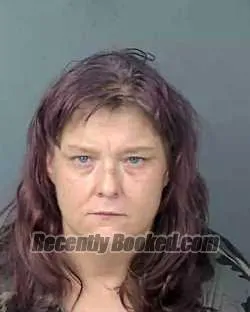 Recent Mugshot Image for BRANDY NICOLE FALAGAN in Hernando County, Florida