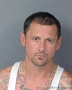 Recent Mugshot Image for DAVID ANDREW PITTMAN in Hernando County, Florida