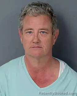 Recent Mugshot Image for SHARON RENEE JOHNSON in Hernando County, Florida