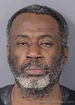 Recent Mugshot Image for TERRENCE LEO THOMAS in Hernando County, Florida