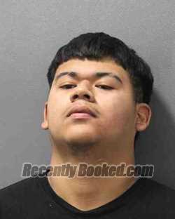 Recent Mugshot Image for DAMION EDGAR PILLADO in Cooke County, Texas