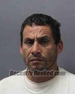 Recent Mugshot Image for EFRAIN SALAZAR-VELA in Cooke County, Texas