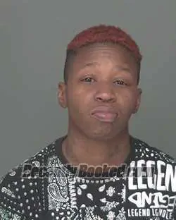 Recent Mugshot Image for BRITTANY NICOBI FLUKER in Highlands County, Florida