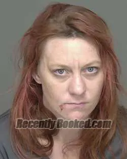 Recent Mugshot Image for TOSHA LYNN KNISLEY in Highlands County, Florida