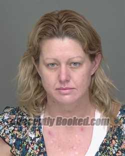 Recent Mugshot Image for AMANDA NICOLE SPIVEY in Highlands County, Florida