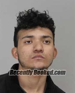 Recent Booking / Mugshot for RICARDO MIRELES in Dallas County, Texas