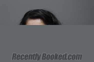 Recent Booking / Mugshot for ROSA HERNANDEZ in Dallas County, Texas
