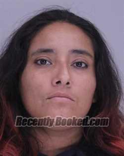 Recent Mugshot Image for SYLVIA BAHENA in Dallas County, Texas