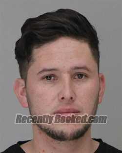 Recent Mugshot Image for DANNY REYES in Dallas County, Texas
