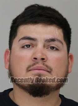 Recent Booking / Mugshot for ROBERT HERRERA in Dallas County, Texas