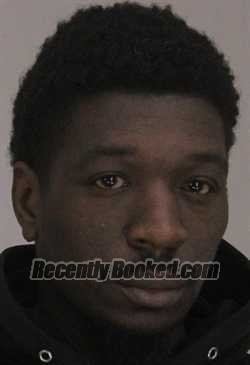 Recent Mugshot Image for DANA HAMPTON in Dallas County, Texas