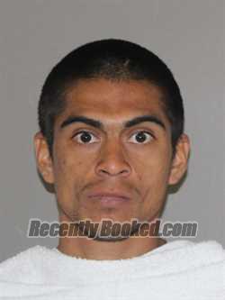 Recent Booking / Mugshot for Angel G Jasso in Denton County, Texas