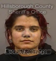 Recent Mugshot Image for TAINA HERNANDEZ in Hillsborough County, Florida