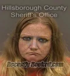 Recent Mugshot Image for CRYSTAL LEA HOLTON in Hillsborough County, Florida