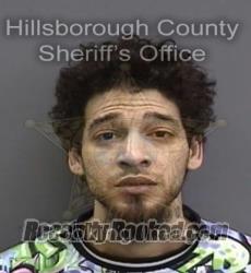 Recent Mugshot Image for JOSHUA ALECIA VAZQUEZ in Hillsborough County, Florida