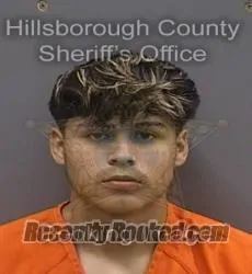 Recent Mugshot Image for BRYAN ALEXANDER ARGUETA HERNANDEZ in Hillsborough County, Florida