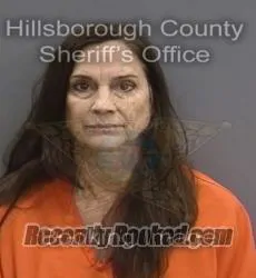 Recent Mugshot Image for JILL ELAINE DILLENBURG in Hillsborough County, Florida