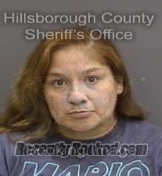 Recent Mugshot Image for SELENIA RODRIGUEZ in Hillsborough County, Florida