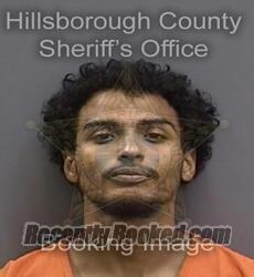 Recent Mugshot Image for DANIEL JOSE URENA in Hillsborough County, Florida
