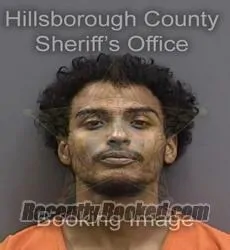 Recent Mugshot Image for DANIEL JOSE URENA in Hillsborough County, Florida