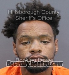 Recent Mugshot Image for ISMAEL ANDREW PLANCHER in Hillsborough County, Florida