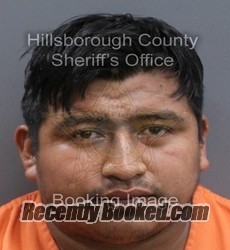 Recent Mugshot Image for SAYNER MORENO PEREZ in Hillsborough County, Florida