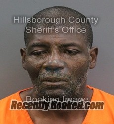 Recent Mugshot Image for WILLIE CLAVE JR PETERSON in Hillsborough County, Florida